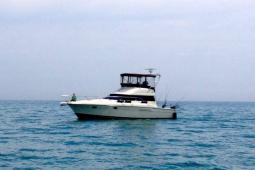 1991 Silverton 41CV