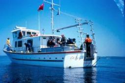 1970 Custom Built Rawson Trawler