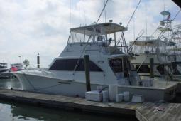 1984 Ocean Yachts (Must See!!)