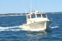 2001 General (Immaculate Condition!)