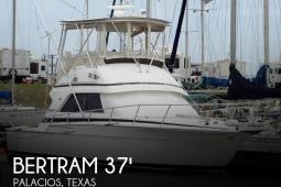 1988 Bertram 37 Sportfisherman