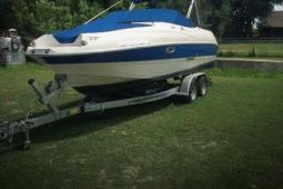 2010 Stingray 220 DR