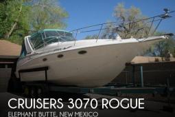 1994 Cruisers 3070 Rogue
