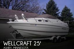 2002 Wellcraft 2400 Martinique