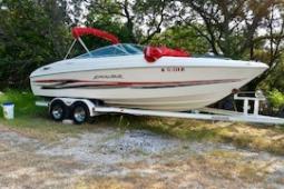2001 Wellcraft 23 EXCALIBURSCS