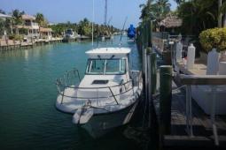 2013 True World TE 2810