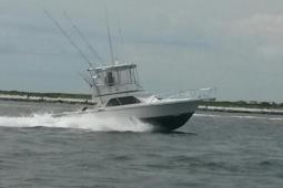 1991 Blackfin 33 Convertible