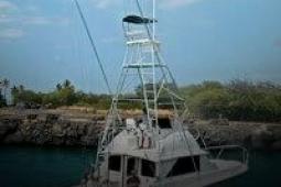 1972 Bertram 38 - 2007 Engine and Rebuild