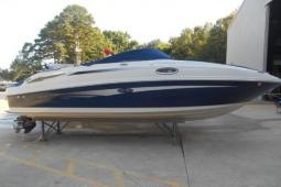 2010 Sea Ray 260 Sundeck