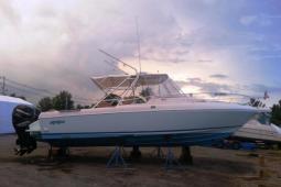 1996 Intrepid 339