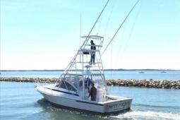 1996 Blackfin 33 Combi