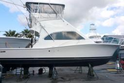2001 Luhrs 34 Tournament