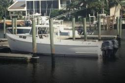 2011 Other 31