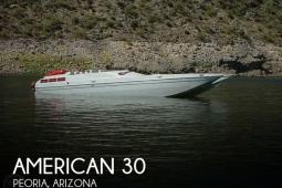 2004 American Offshore 3100
