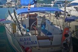 1989 Custom Built 65