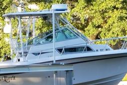 2000 Grady White 274salefish
