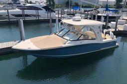2018 Scout DORADO
