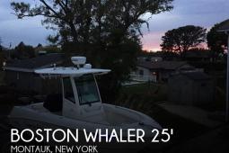 2014 Boston Whaler 250 Outrage