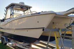 2010 World Cat 270 SD