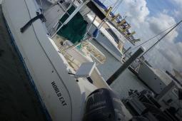 2001 World Cat 26