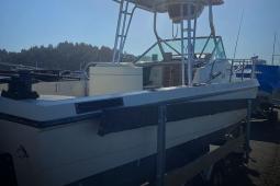 1978 Wellcraft AIRSLOT 24