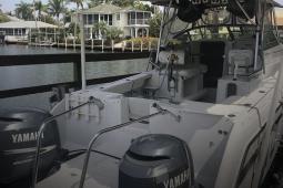 2005 Glacier Bay Island runner 2670