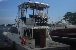 1995 Luhrs Tournament 350
