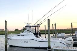 2010 Baha Cruisers 296 King Cat