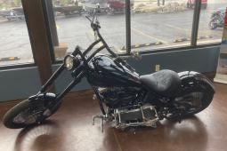 2002 Other ASVE CUSTOM 100 CI