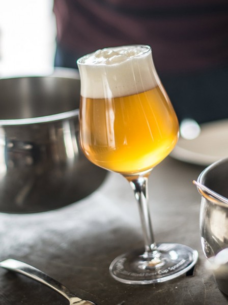 CraftBeer.com Beer and Food Course