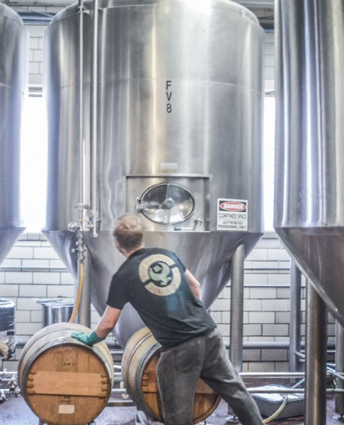 Brewers Association Benchmarking Survey