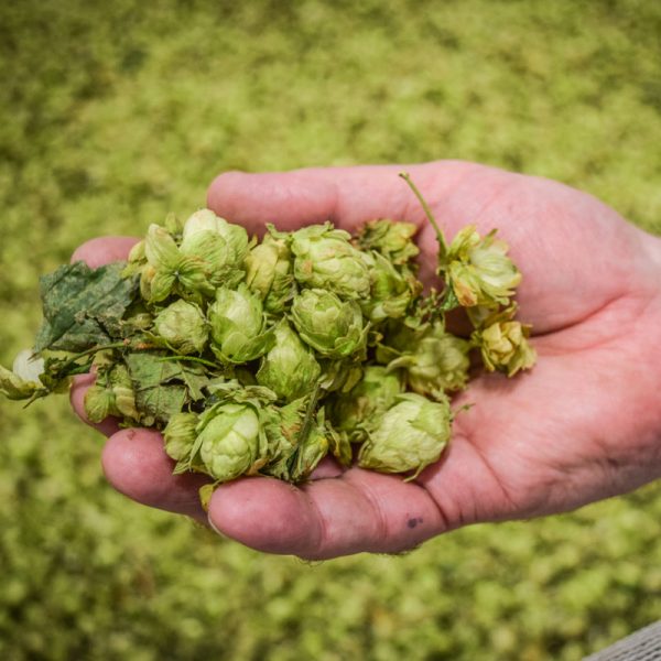 Brewers Association Supplier Membership