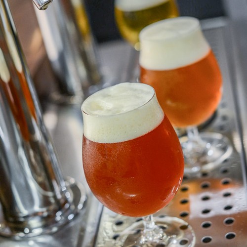 Draft Quality Brewers Association