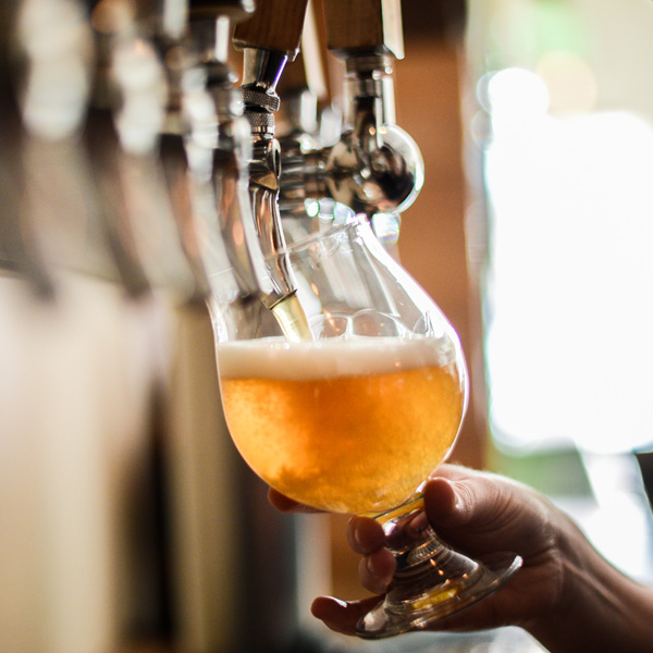 Dissecting Craft Brewer Data