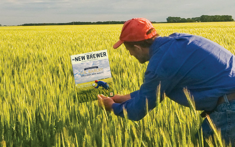 NovDec16 The New Brewer Slider