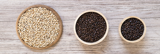 malt_interior1