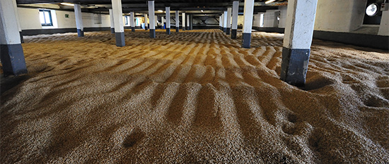 malt_interior2