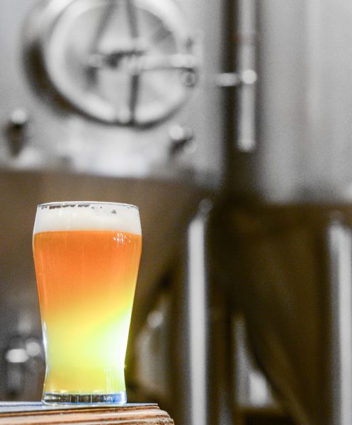 Beer Industry Production Survey