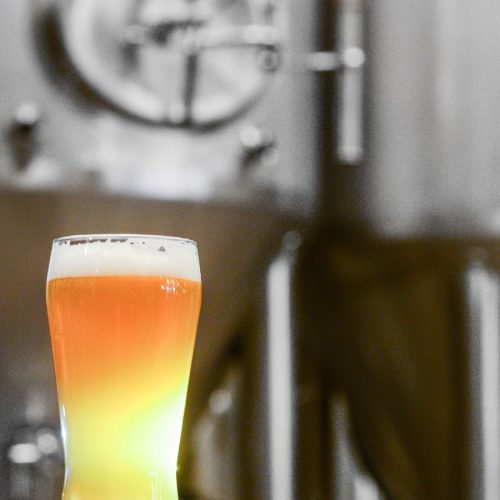 Beer Industry Production Survey