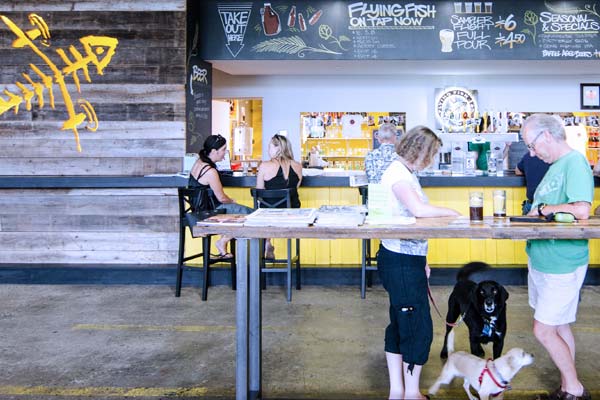 Taproom Dynamics