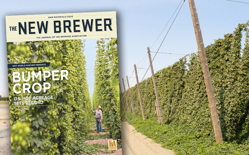 Nov Dec 2017 The New Brewer