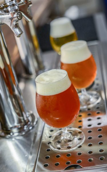 Draught Quality Ambassador Industry Update