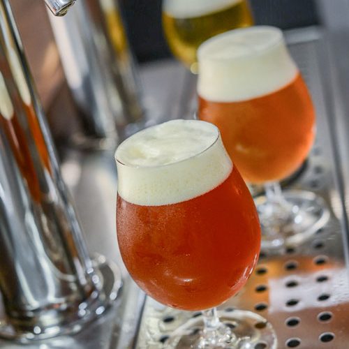 Draught Quality Ambassador Industry Update