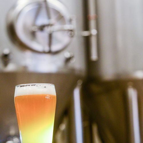 6 Educational Resources to Keep your Brewery in Check