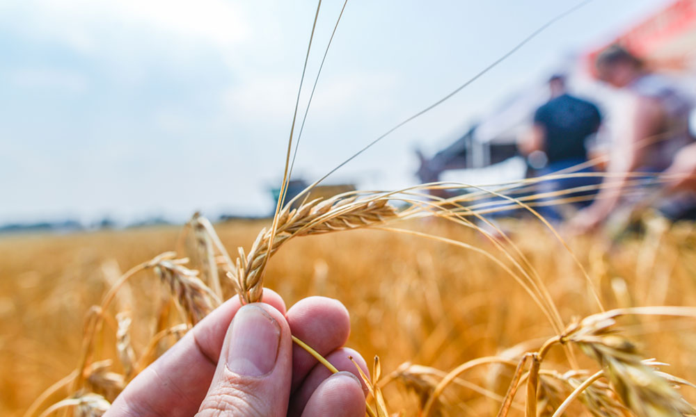 Brewers Association Awards 2019 Research Grants