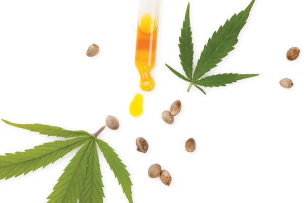 The New Brewer CBD and Craft Beer