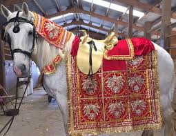 Grandcarriagesandbaraathorse