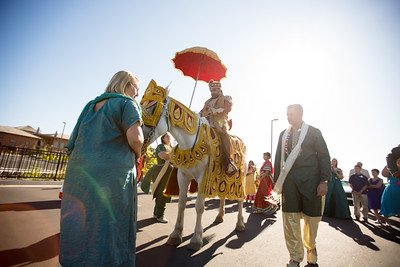 Vintage carriage company main image