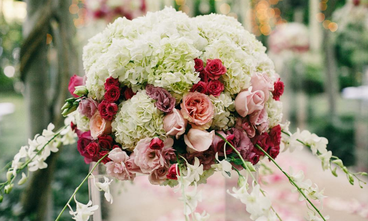 Main image url