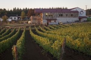 The Dirt on Riesling Field Trip @ Brooks Wines | Amity | Oregon | United States